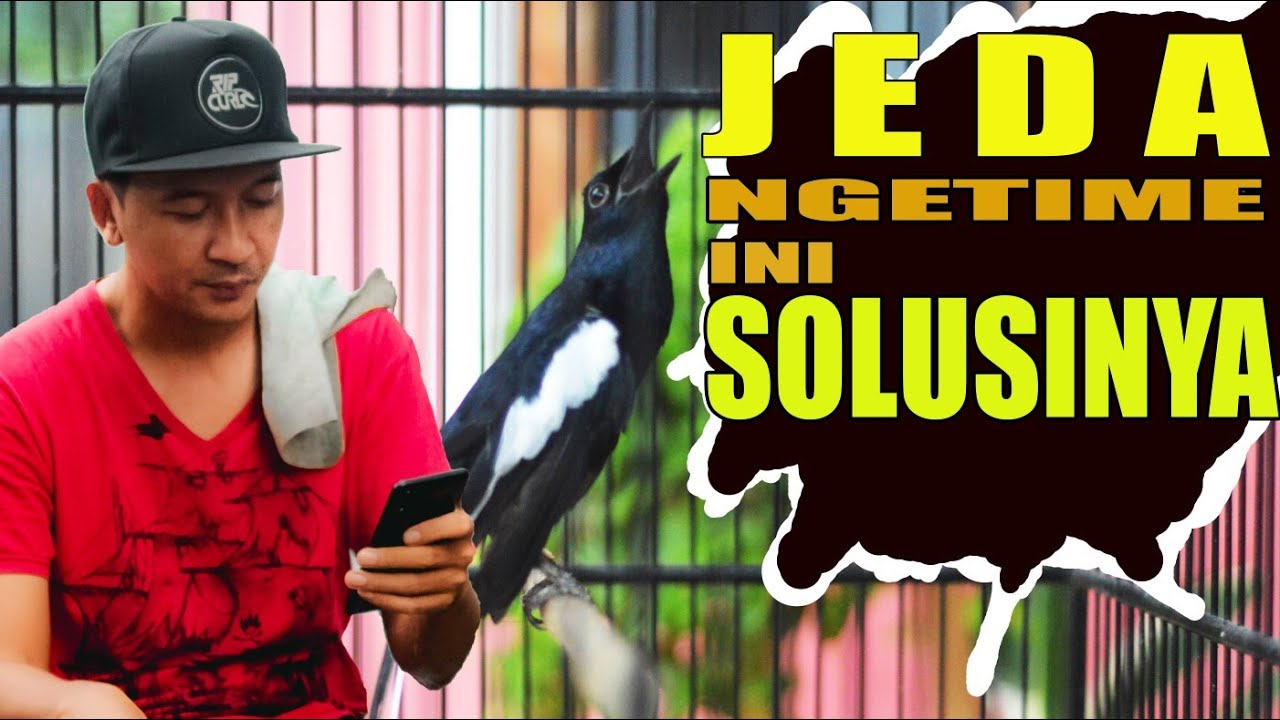 PENYEBAB DAN SOLUSI MENGATASI KACER YANG MAINYA JEDA ATAU NGETIME