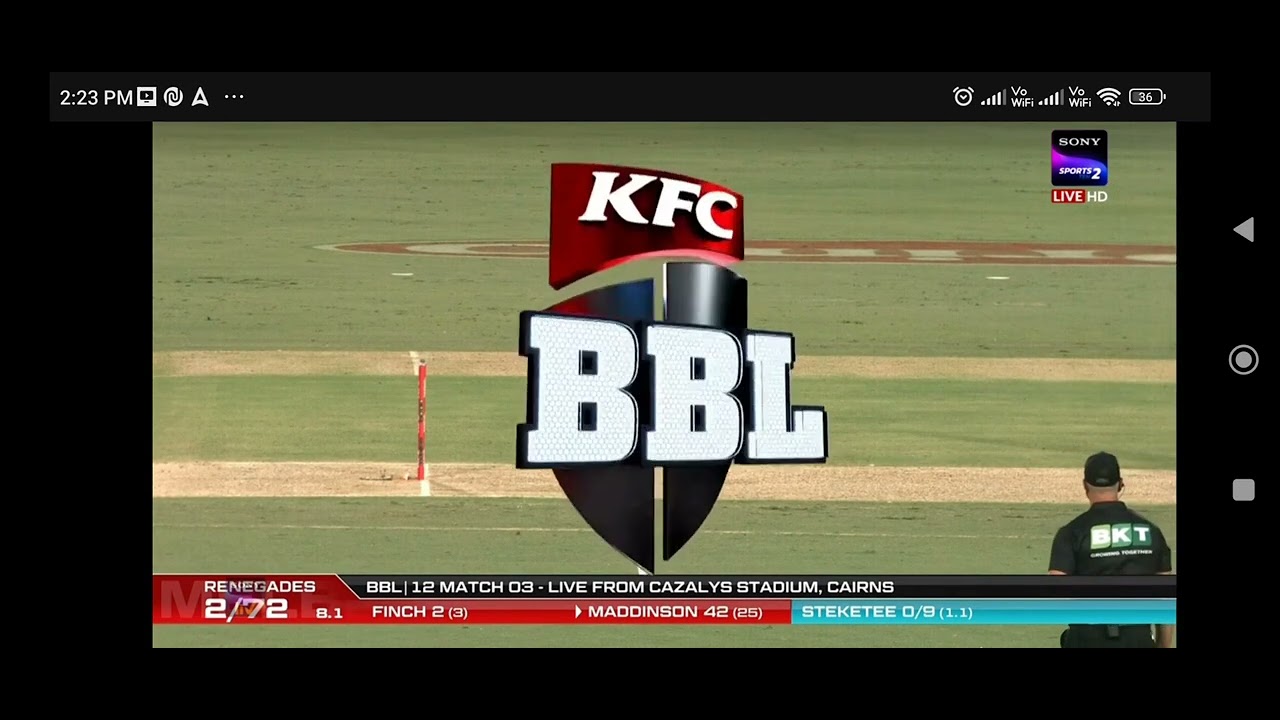 Big bash nic maddinson wicket