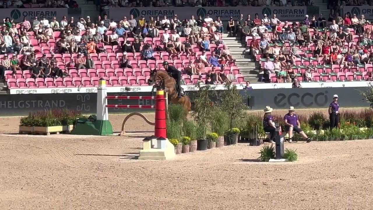 Lorenzo De Luca /Herning 2022/ FEI World Championship