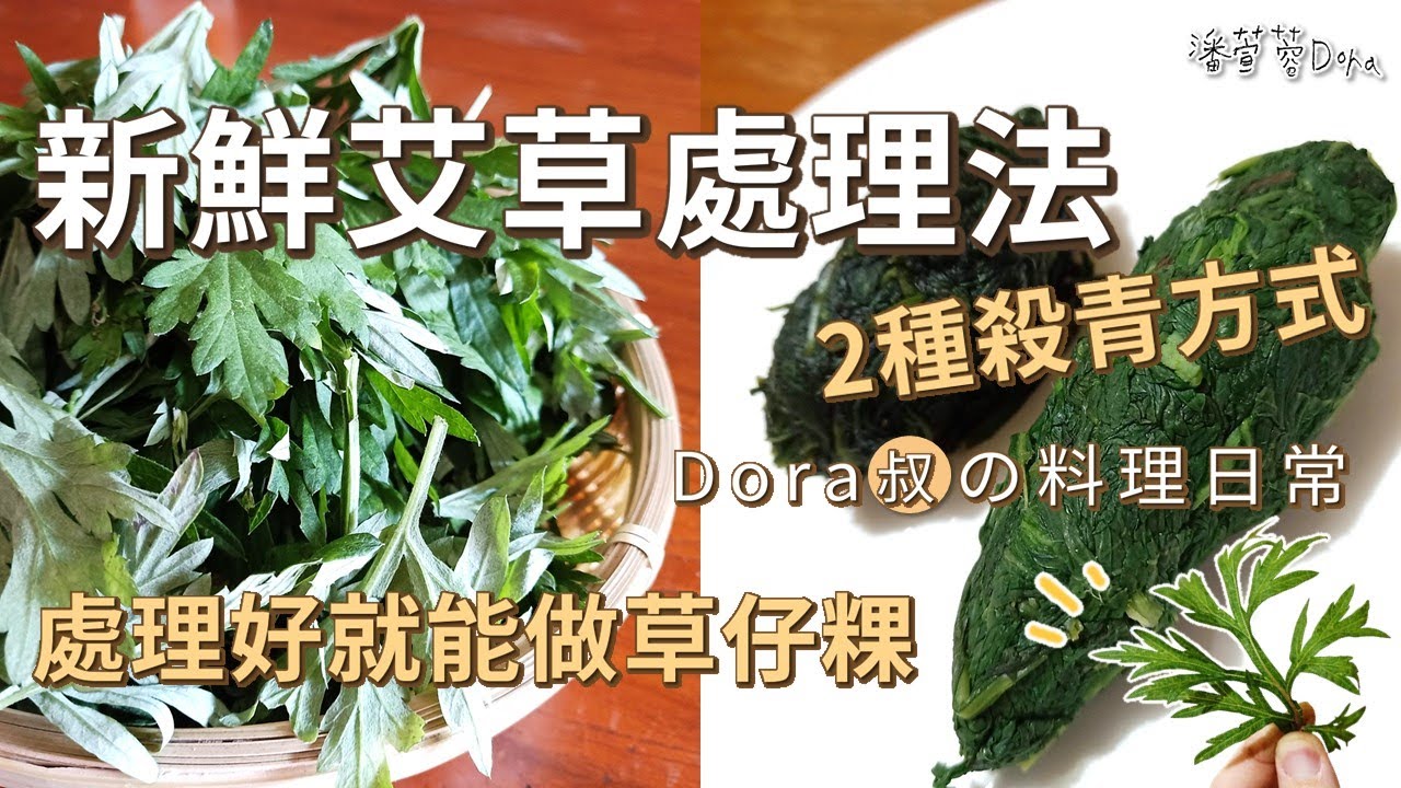 【做草仔粿前新鮮艾草怎麼處理 x 兩種艾草殺青小訣竅 x 艾草粿外皮粉草比例 x 方便的艾草保存方法】Dora叔Vlog#28 | Doraの教養生活TV