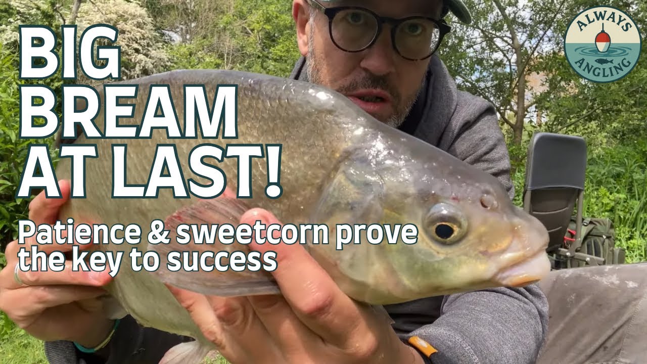 Big Bream After a Long Wait! Real-Time Float Fishing Session 🎣