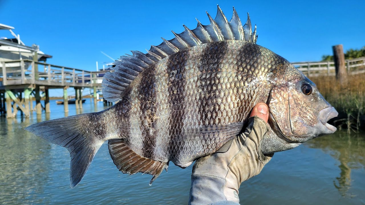 Jigs and Oysters May Be My New Favorite Method To Catch These Fish