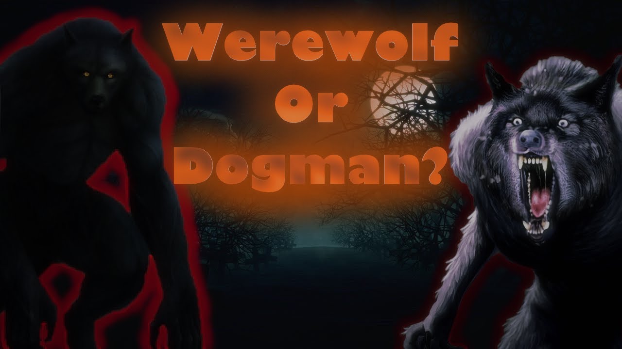 What is a Dogman?