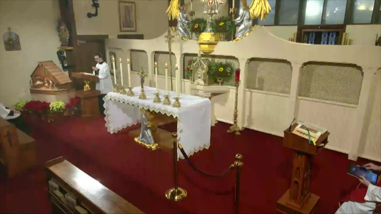 Daily Readings and Homily - 2024-01-16 - Fr. Mark