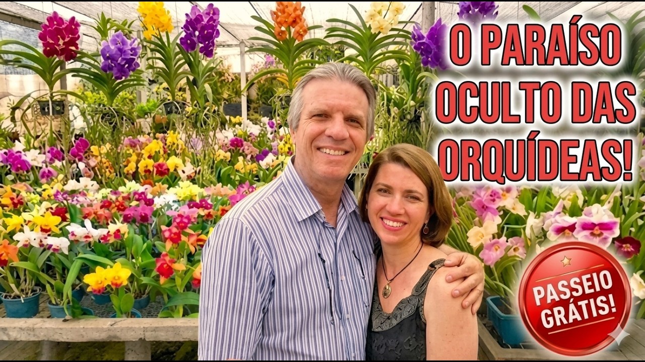 ORQUID&Aacute;RIO ORIENTAL em MOGI DAS CRUZES: Passeio GRATUITO 1h de SP