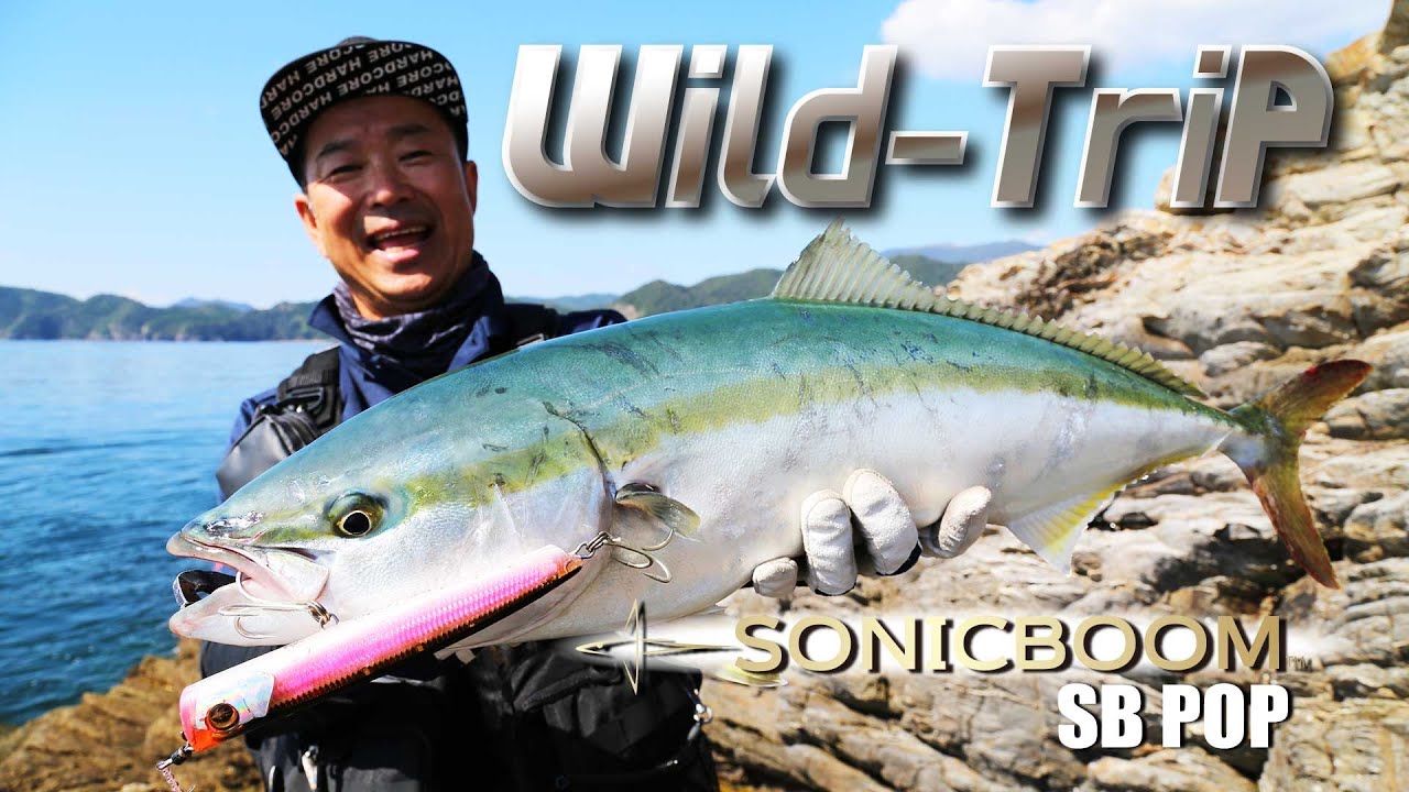 宮崎・延岡の沖磯で青物ゲーム！ Wild Trip/鉄人・松岡豪之(1409)