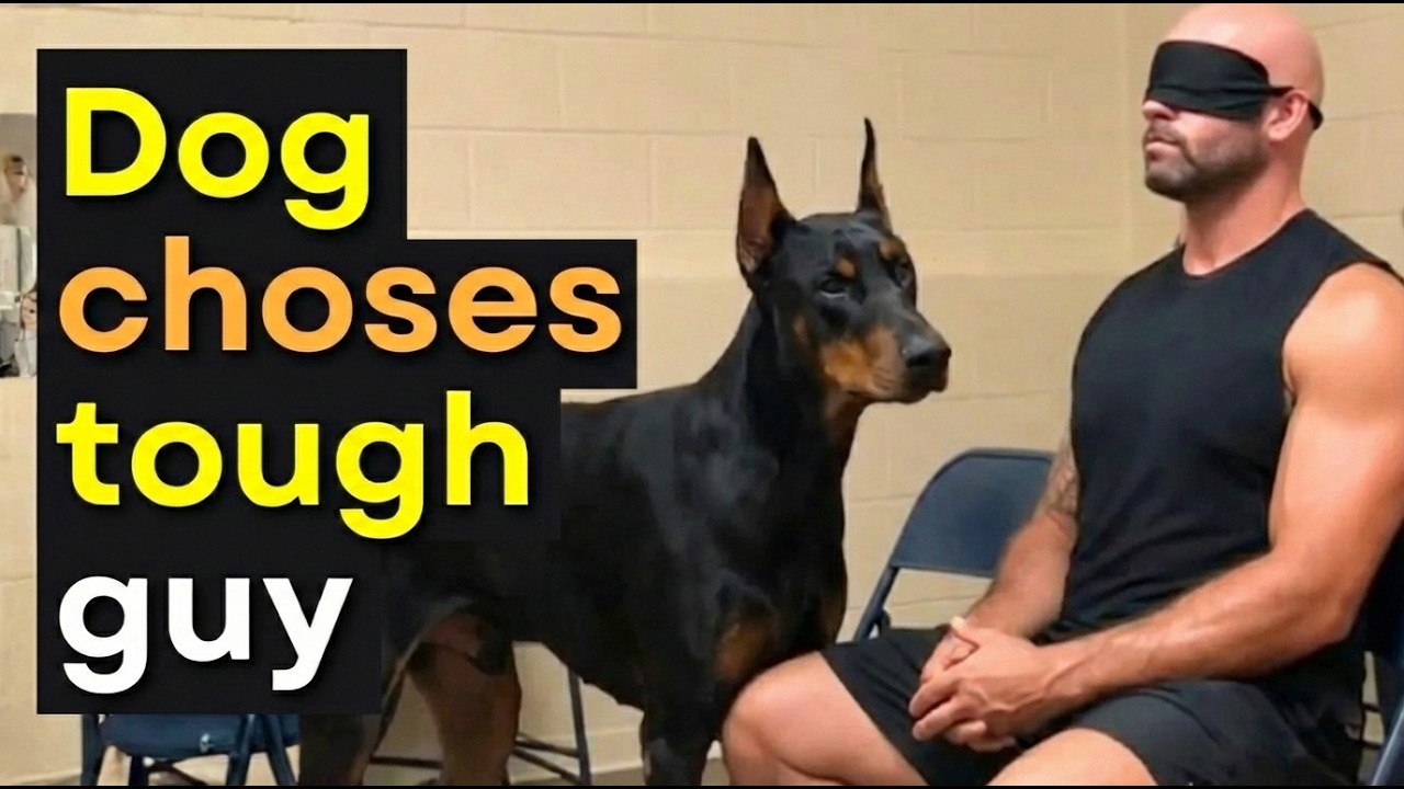 When Dogs Choose No One… 😭 Until This Moment Melts Your Heart ❤️🐶