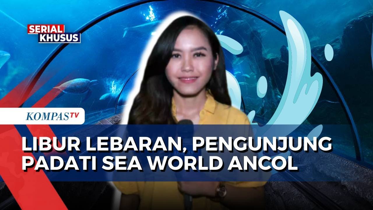 [FULL] Sea World Ancol, Wisata Edukasi Favorit Keluarga Rayakan Libur Lebaran 2025