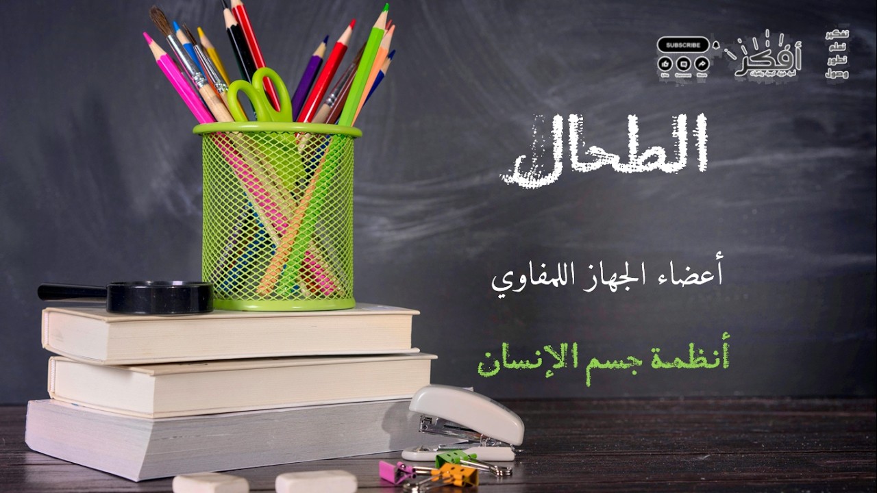 أعضاء الجهاز اللمفاوي - الطحال ( التركيب والوظيفة ) أنظمة الجسم -  The Spleen (Structure & Function)