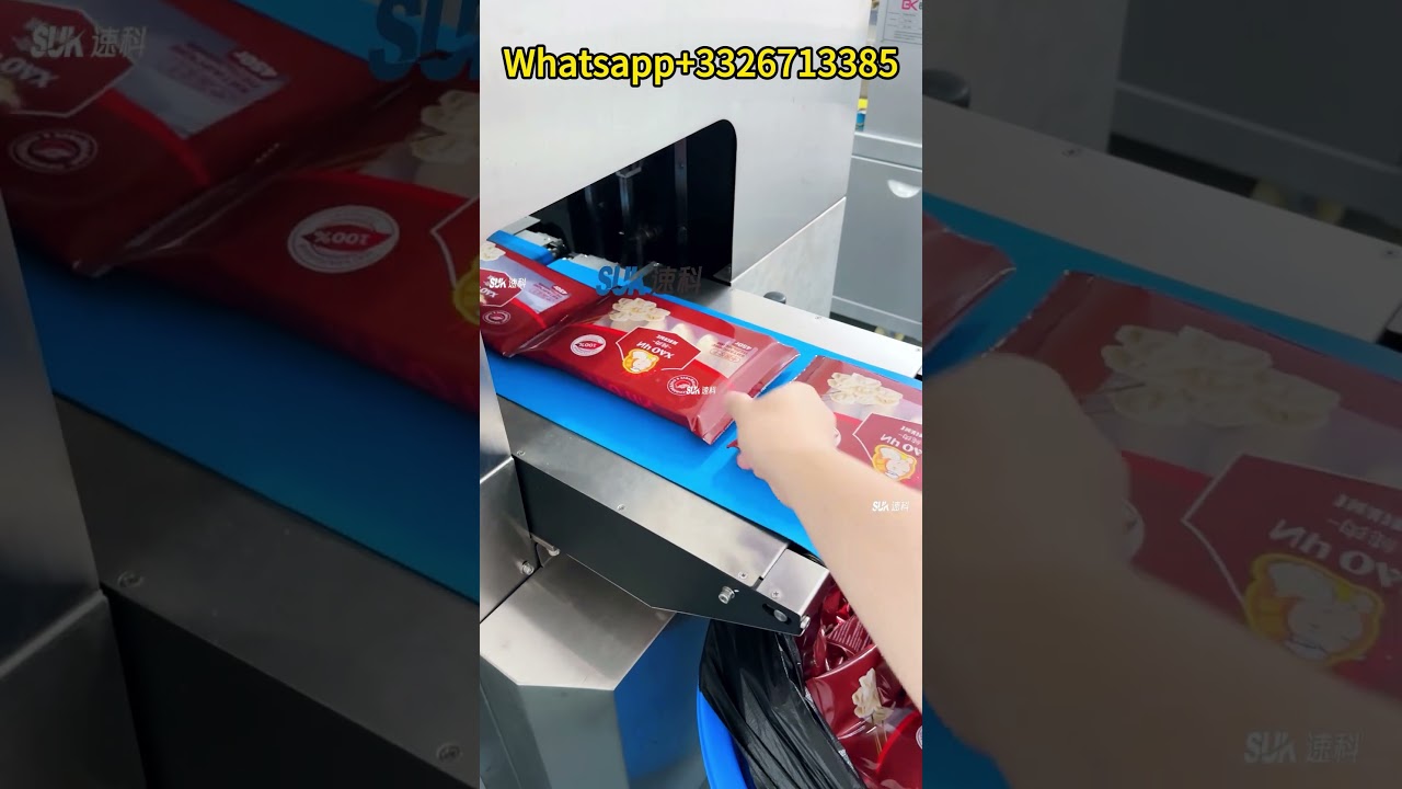 Automatic Dumpling Packaging Machine: High-Speed Pillow Packaging Solution for Food Factories