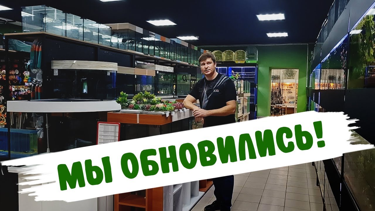 Обзор зоомагазина Ква-Ква 2025г