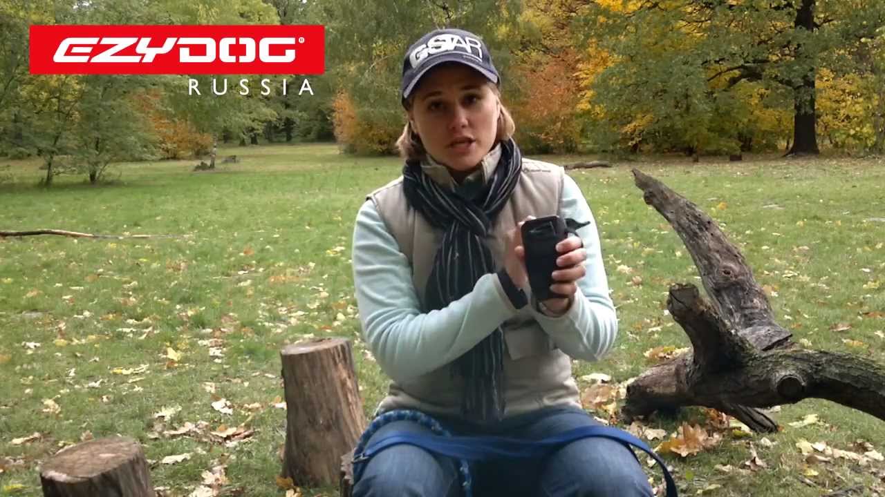 EzyDog | Сумочка Doo