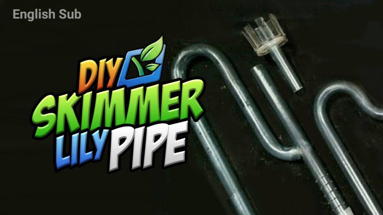 Membuat Skimmer Lily Pipe dari Pipa Bening