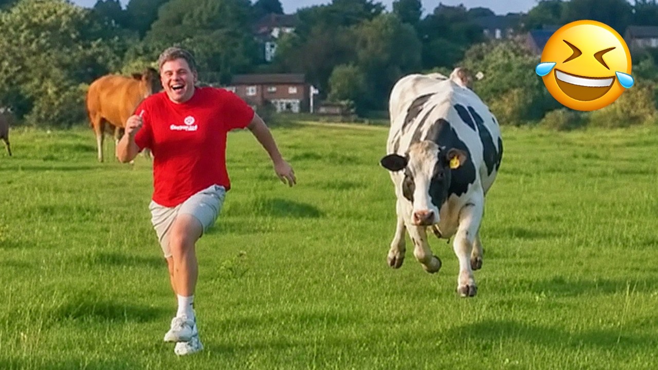 Funniest Animal Videos 2026 😂 When Animals Choose Chaos
