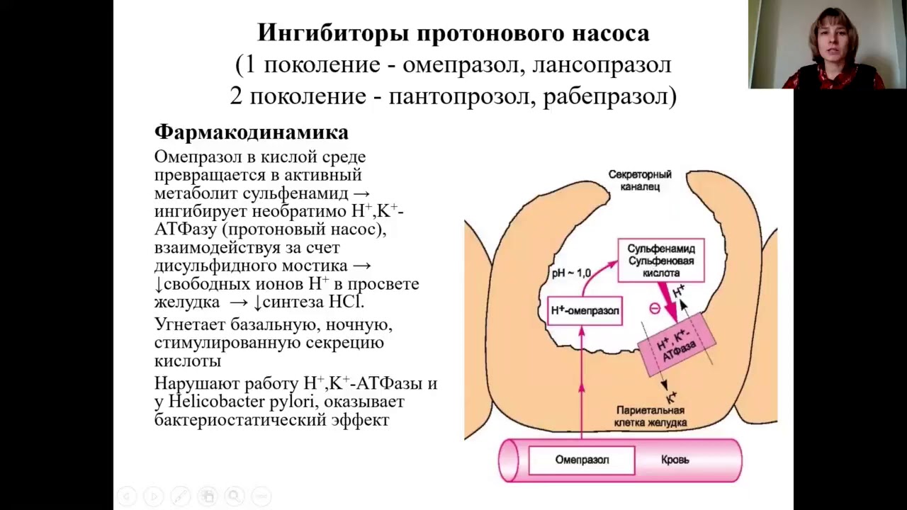 Фармакология 7. Средства, влияющие на функцию органов пищеварения
