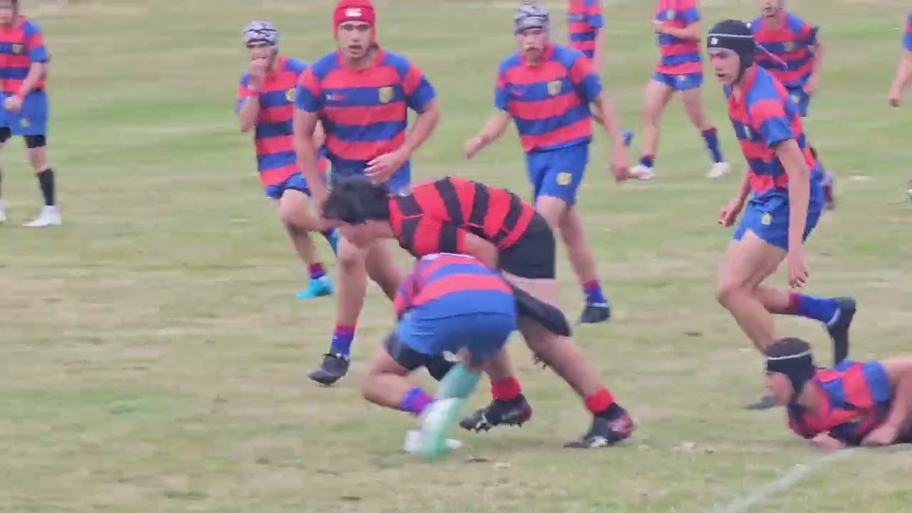 Hato Paora Rugby U15 v Te Aute College U15 2024