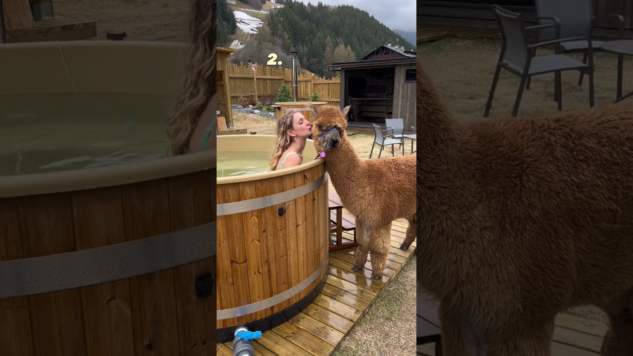 3 ALLOGGI PAZZESCHI nel NORD ITALIA 🇮🇹 #hotel #lifestyle