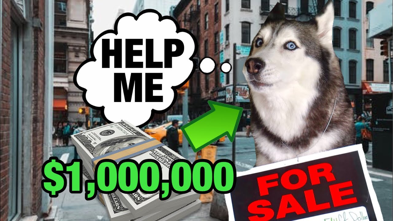 I Sold My Talking Dog For $1,000,000 Dollars! 😱