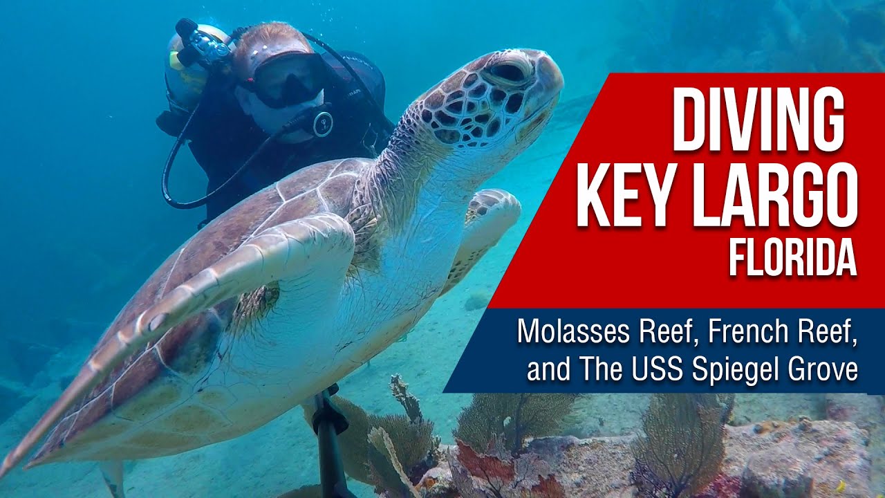 Diving in Florida: Molasses Reef, French Reef, Benwood & Spiegel Grove dive sites