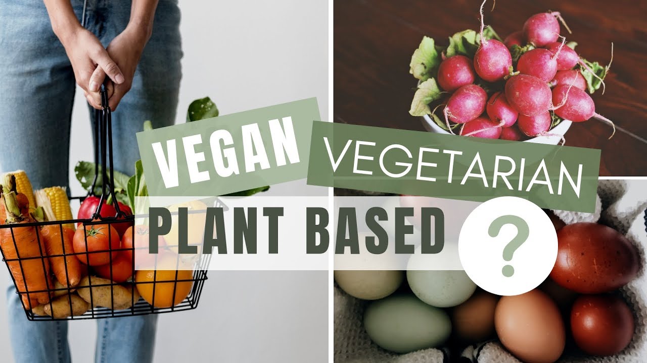 Vegan, Vegetarian, Plant Based Homesteads | Meat-Free Homesteading