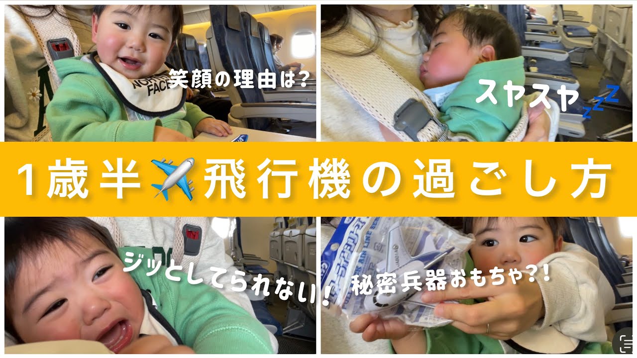 【1歳半にして搭乗回数12回？！✈️】取るべき席は？持ち物は？機内での過ごし方は？秘密兵器を持ち込みした？！【搭乗レポ/機内様子】概要欄ご覧ください！#飛行機 #赤ちゃん #1歳6ヶ月