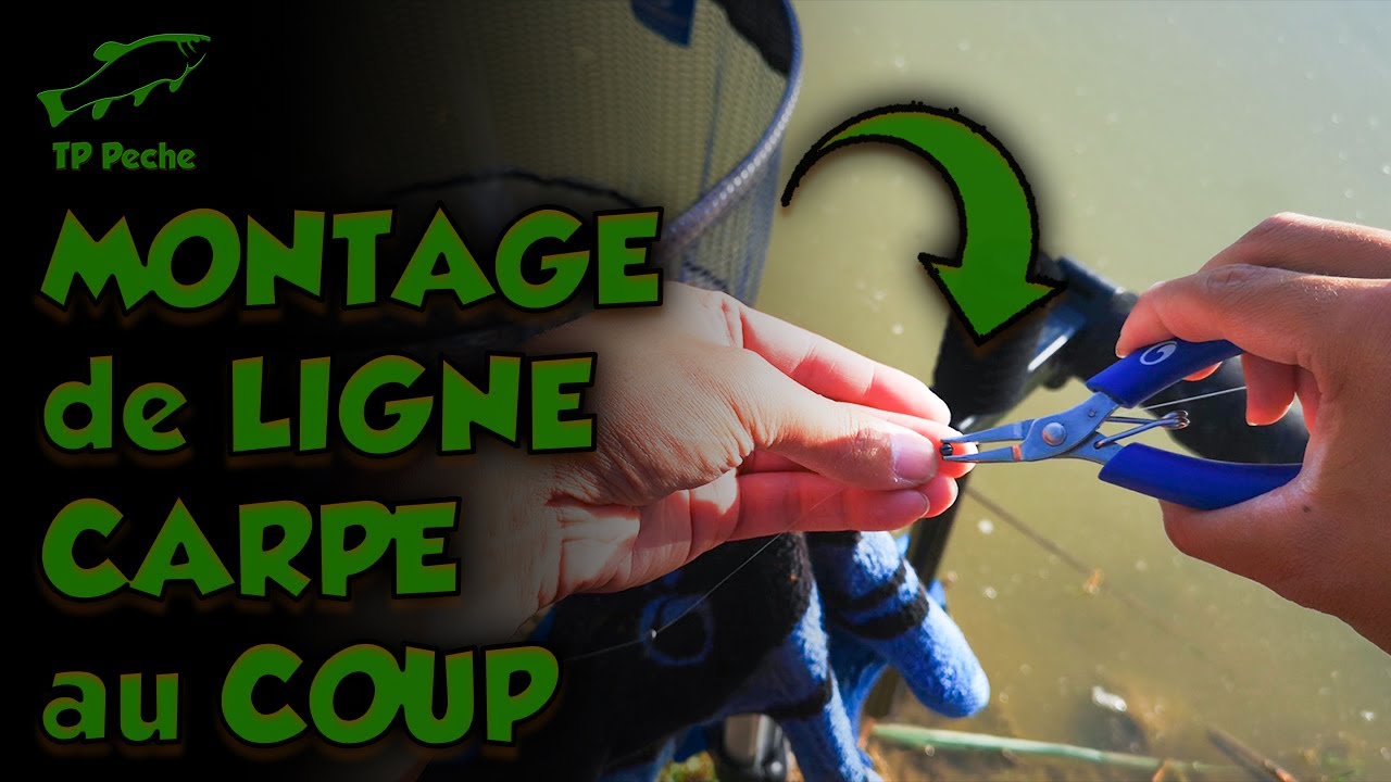 MONTAGE de LIGNE - PÊCHE de la CARPE au COUP