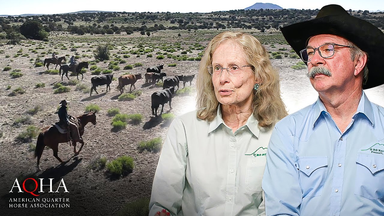 Secret to O RO Ranch's AQHA Victory!