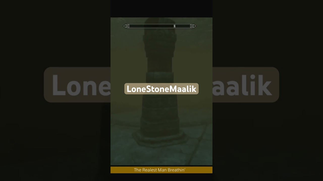 Argonian Underwater Adventures - Ma&atilde;l&iacute;k #lonestonemaalik #darkskin #maalik #skyrim #livestream