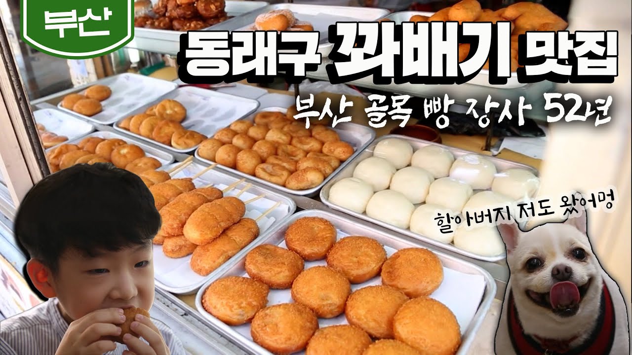 [부산] 덤 더하기 덤.. 💕 단골 강아지도 왔다! 52년 '꽈배기&도넛' 맛집｜Kkwabaegi & Donut｜Korean street food (KBS_20191015)