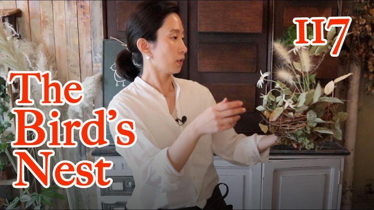 플라워레슨 117 둥지에 핀 아네모네 Flowerlesson 117 The bird&rsquo;s nest & Flowers