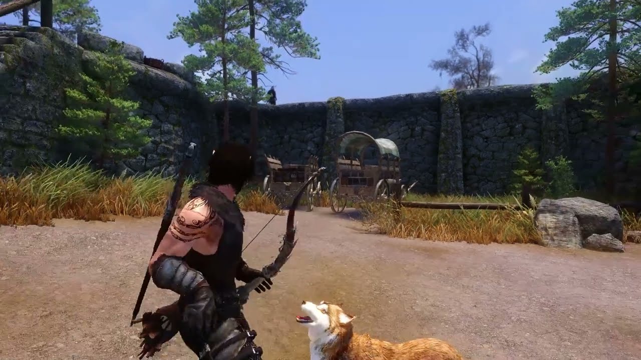 Skyrim Special Edition | Quiver Position for IED + Weapon Styles Bug