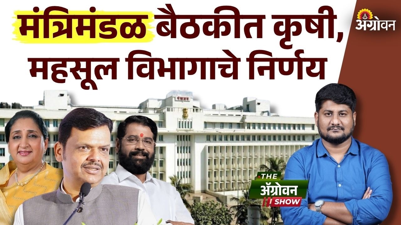 Cabinet Meeting: What eight decisions did the state government take in the cabinet meeting? | Agrowon