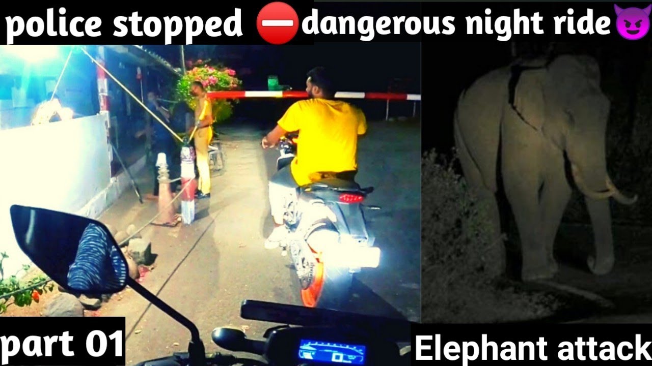 udumalaipettai to munnar night ride | elephant attacks | motovlog