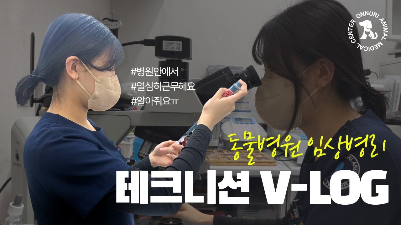 [VLOG] 동물병원 임상병리 동물 보건사 브이로그  | 4년차 수의테크니션😁