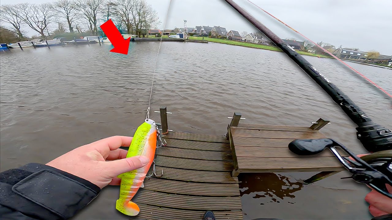 Ce vieux canal est INFEST&Eacute; de BROCHET, je les p&ecirc;che gr&acirc;ce &agrave; cette technique infaillible