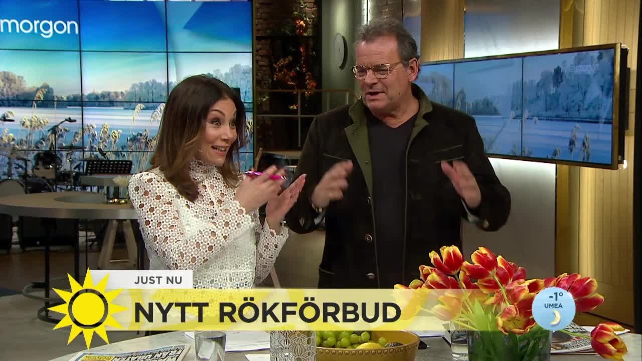 Steffo rasar mot förslaget mot rökförbud utomhus - Nyhetsmorgon (TV4)