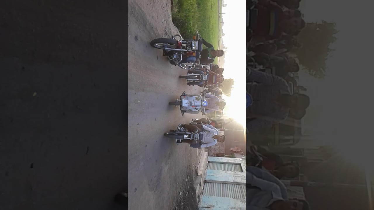 افراح البشنينى