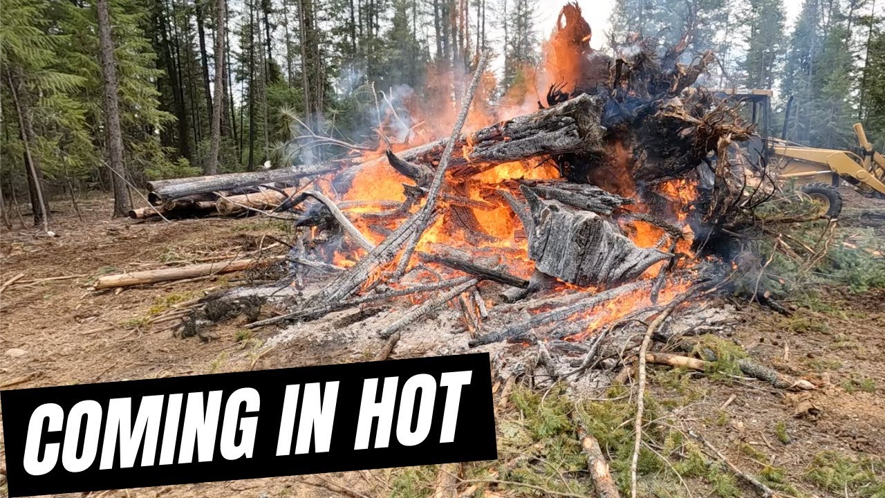 This FIRE Was HOT // Burning SLASH Piles // How To Burn Stumps Using Heavy Equipment //