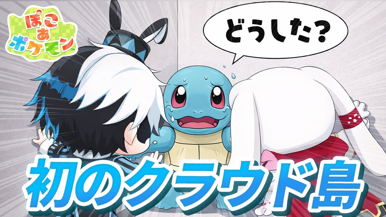 オンライン/ぽこあポケモンの間違った遊び方