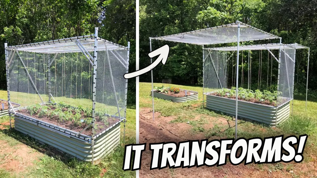 This Creative Garden Cage Transforms For EZ Access!