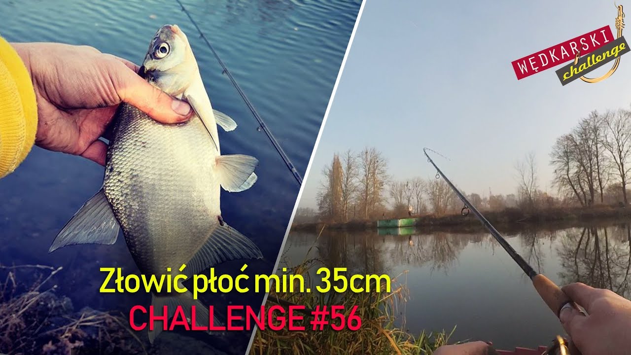 Złowić płoć min. 35cm |  trzydniowe nęcenie miejscówki | z Tatą na rybach | Wędkarski CHALLENGE #56