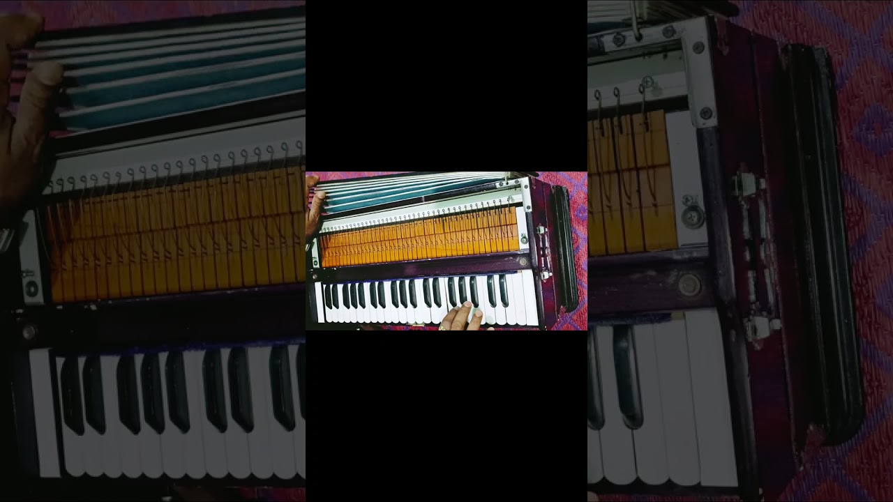 Teri ore Harmonium music