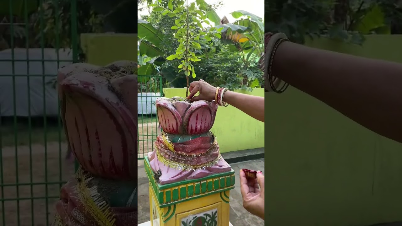 Pachuka kartika maso puja.@Odiaone