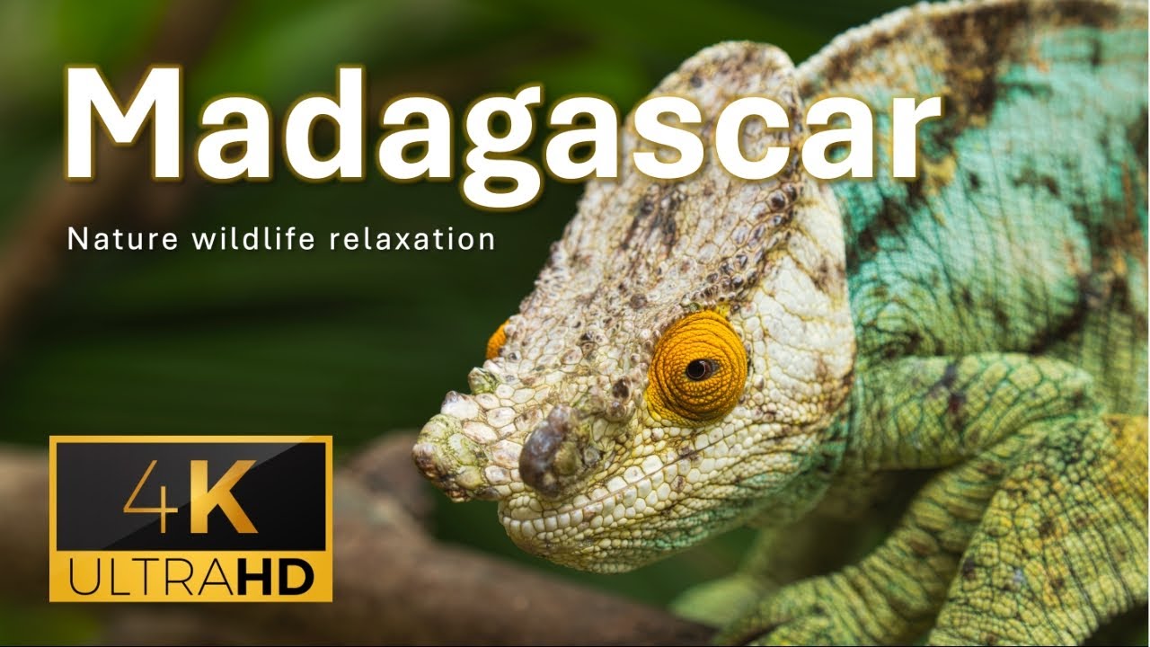 Madagascar Nature 4K - Scenic relaxation film | Calming music | 4K Video Ultra HD