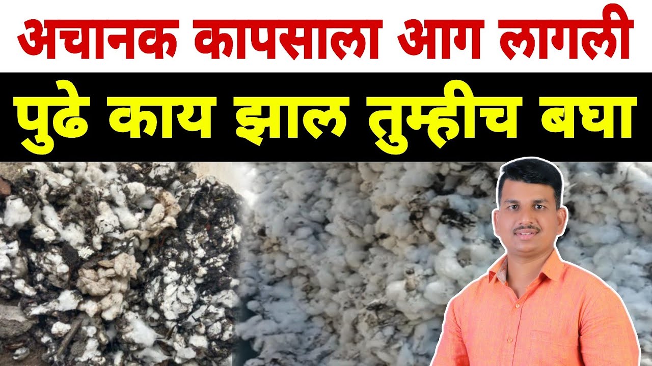 अचानक कापसाला आग लागली | पुढे काय झालं तुम्हीच बघा? | Dnyaneshwar Kharat Patil