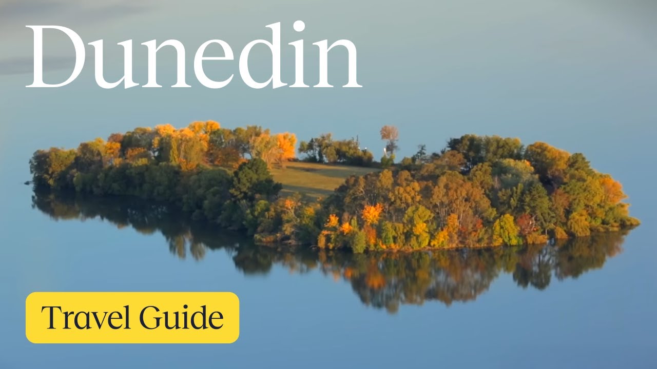 Dunedin Vacation Travel Guide | Expedia
