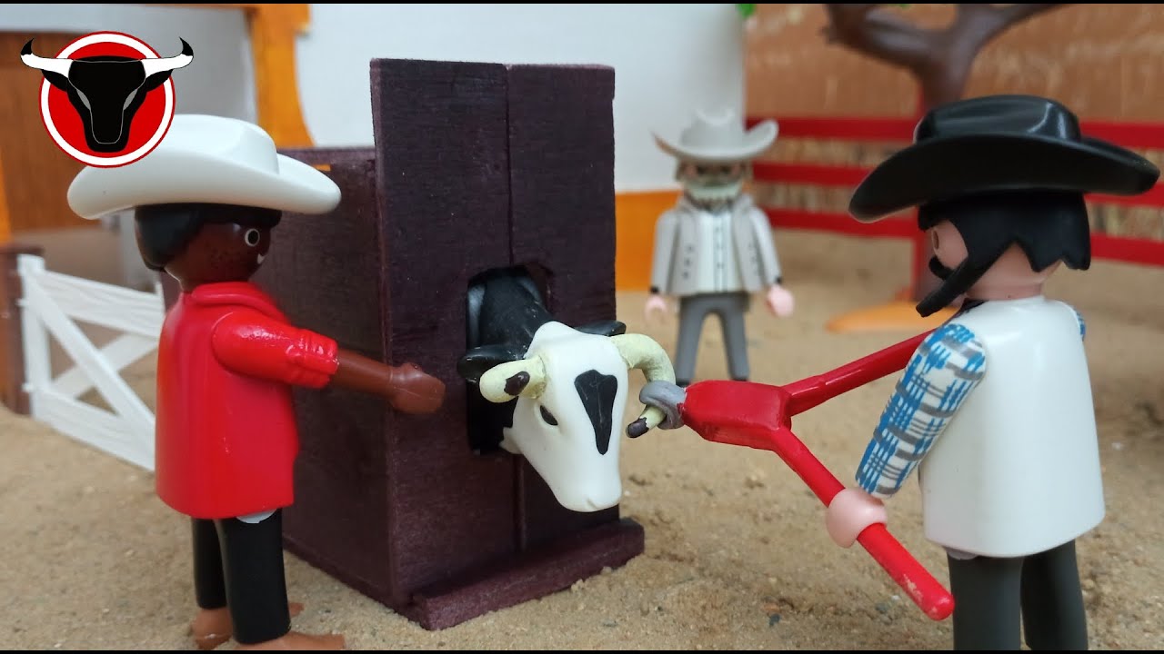 Cortado de cuerno #cow #toros #farm