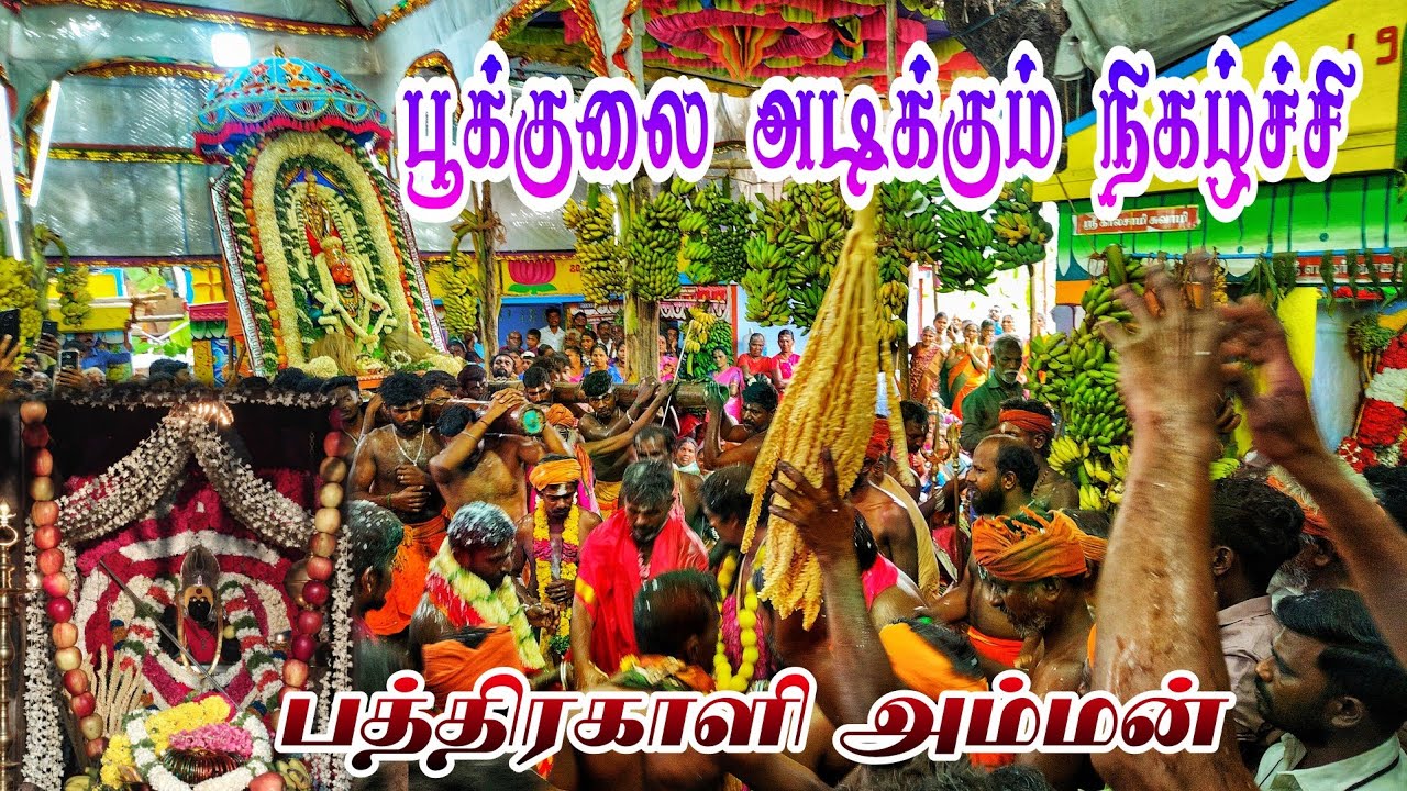 பூக்குலை அடிக்கும் நிகழ்ச்சி வாகைபதி முத்துமாலை அம்மன் கோவில் கொடை விழா 🙏#பத்திரகாளி #முத்துமாலை