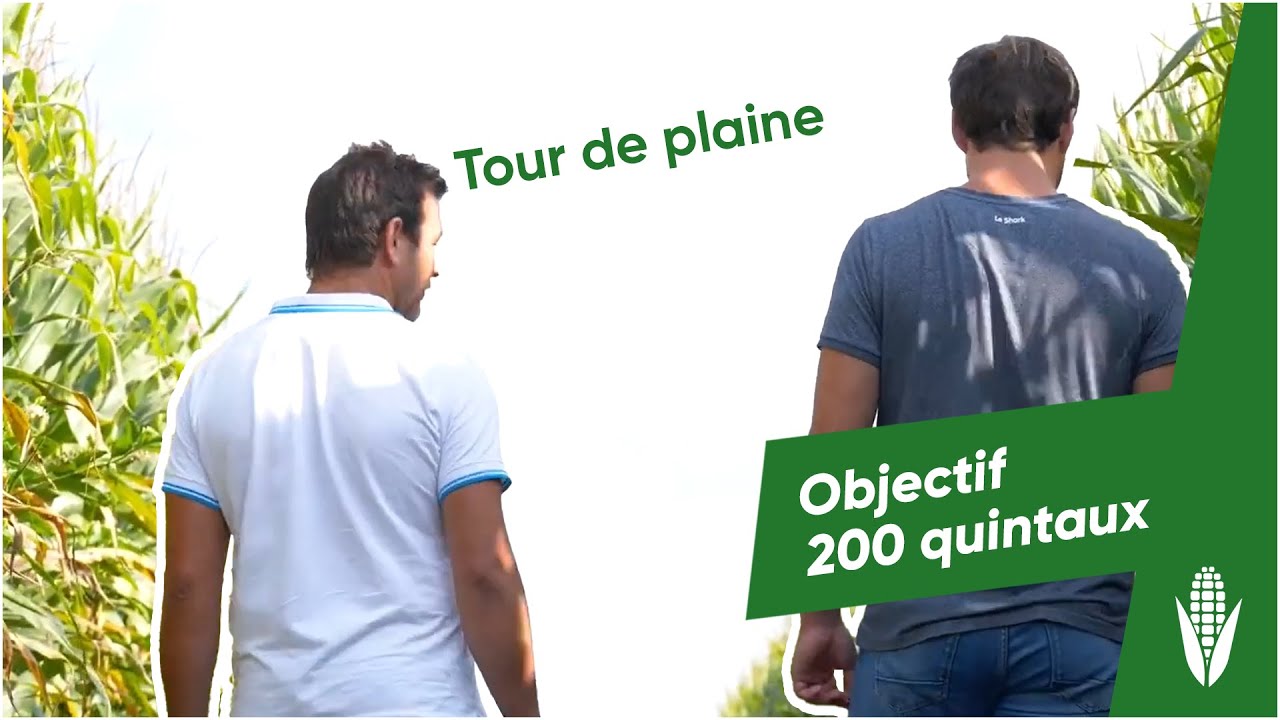 Tour de plaine : objectif 200 quintaux