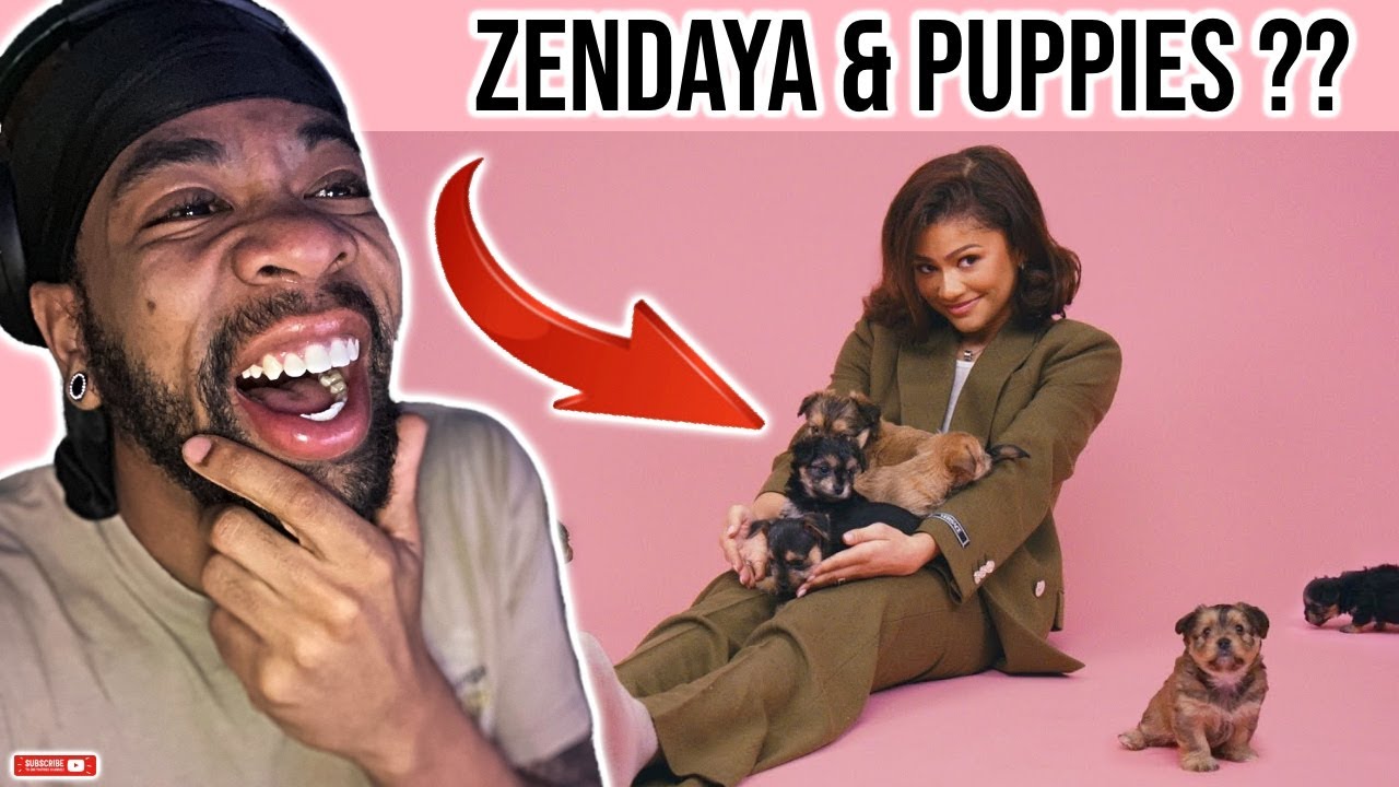 FIRST TIME REACTING to Zendaya: The Puppy Interview